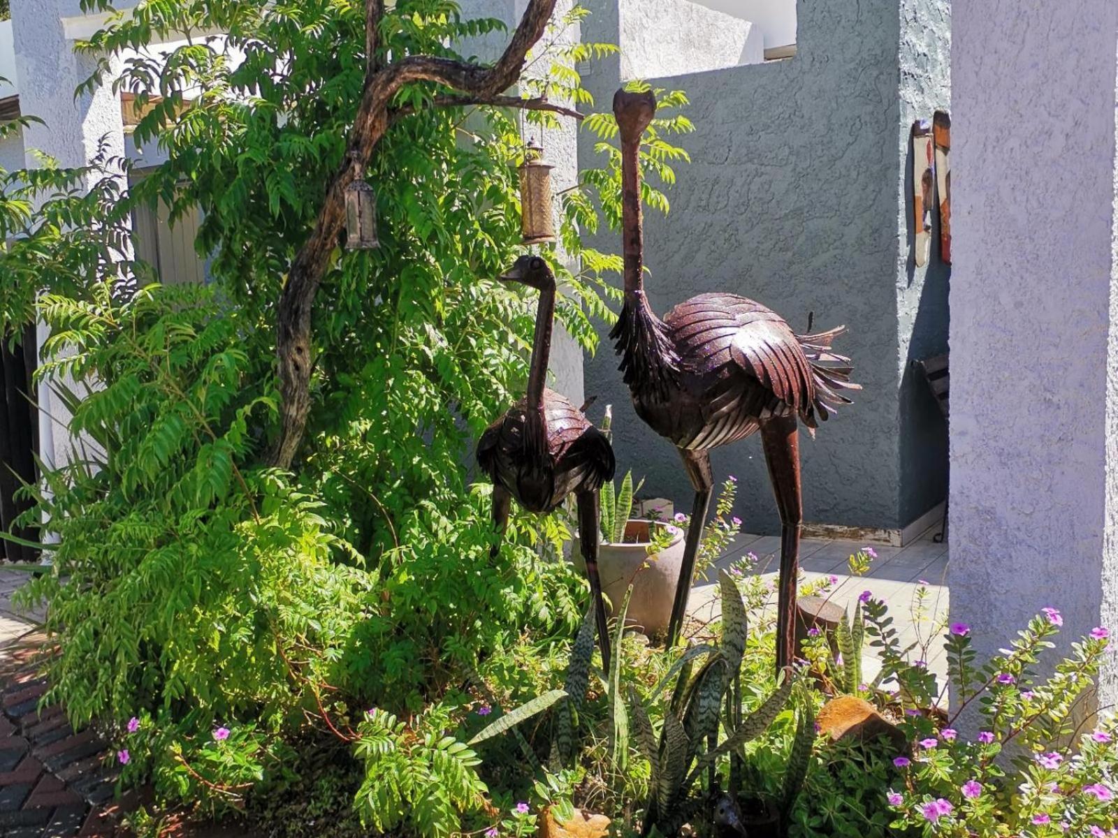 Guesthouse Terra Africa Windhoek Exteriör bild