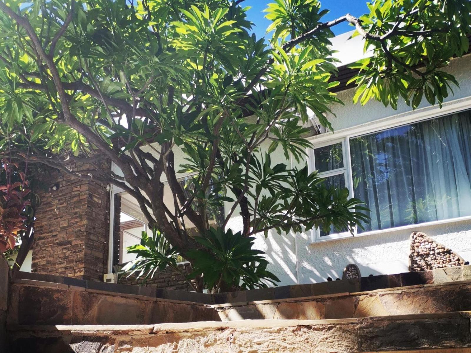 Guesthouse Terra Africa Windhoek Exteriör bild
